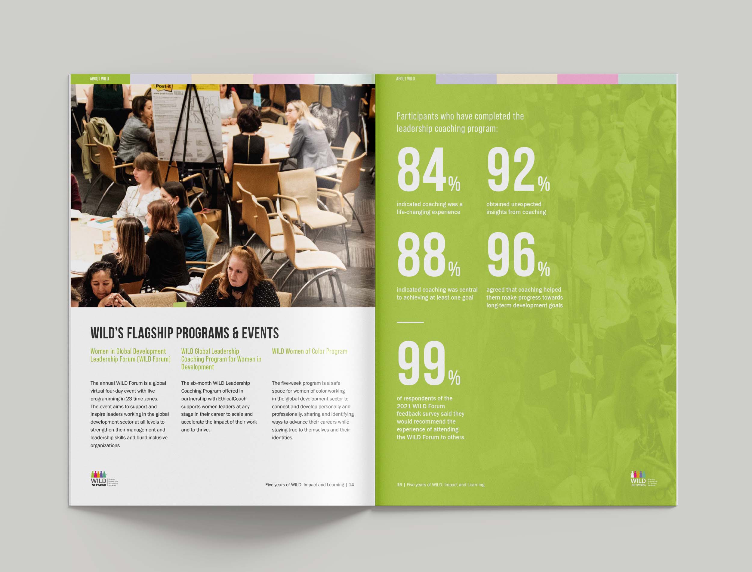 Mockup of WILD report