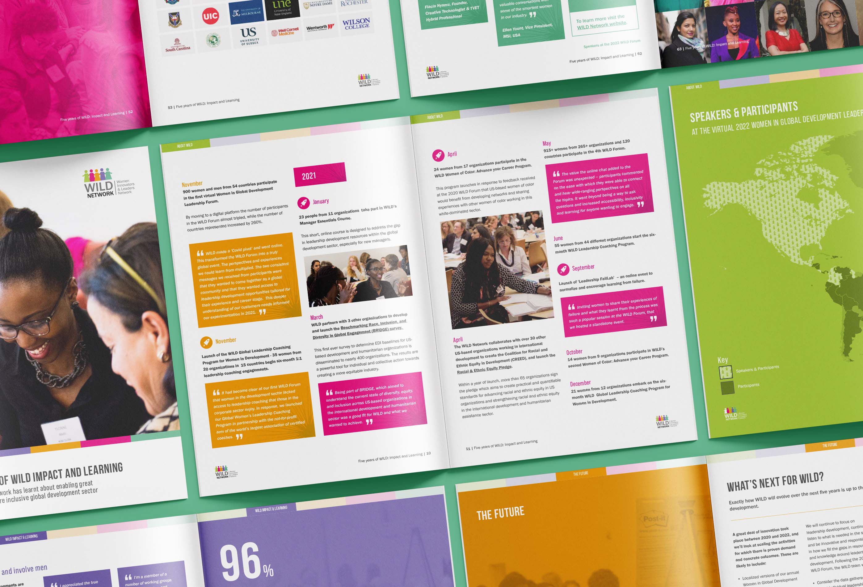 Mockup of WILD report