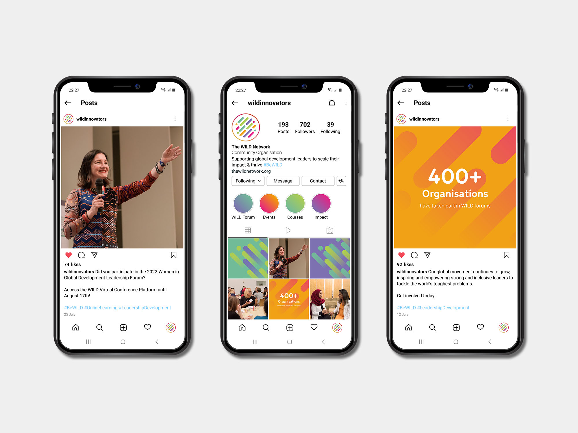 Mockup of WILD branding on Instagram