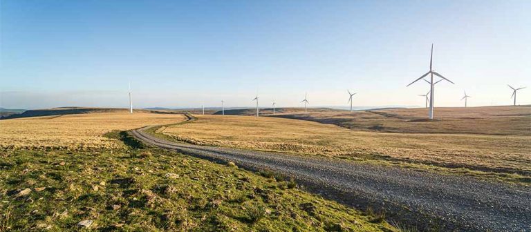 Green field with wind turbines