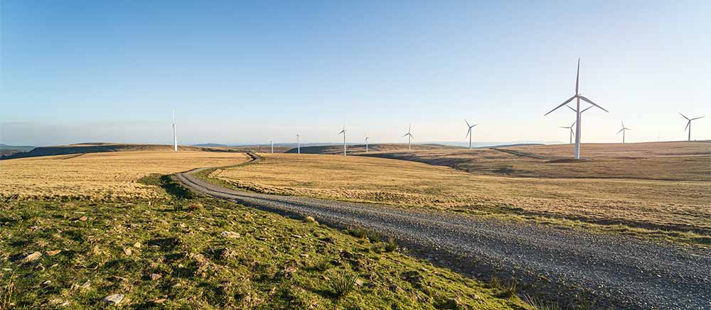 Green field with wind turbines
