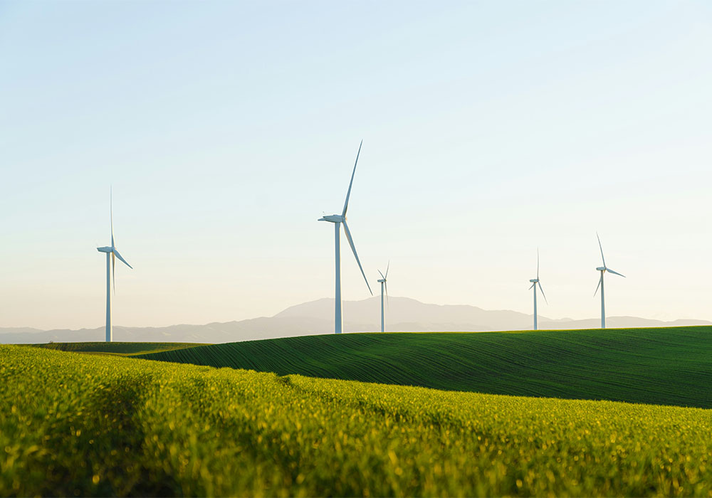 Wind turbines in green fields